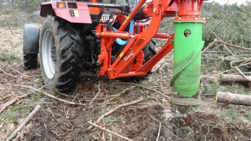 stump borer small image Staplehurst